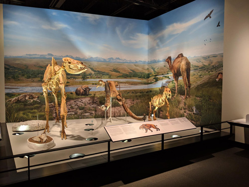Royal-Alberta-Museum-Excursion-1